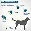 
Bayer Seresto Flea and Tick Collar for Large Dog- from 7 weeks onwards or over 18 lb, 8 Month Protection
